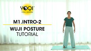 M1.Intro-2 Wuji Posture Tutorial