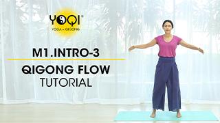 M1.Intro-3 Qigong Flow Tutorial