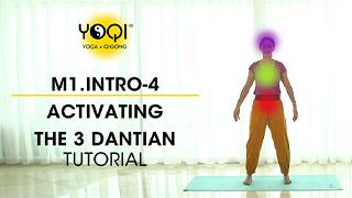 M1.Intro-4 Activating The 3 Dantian Tutorial