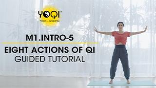 M1.Intro-5 Eight Actions of Qi Guided Tutorial