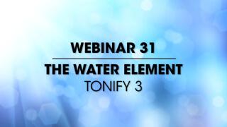 Webinar 31: Tonify 3 - The Water Element