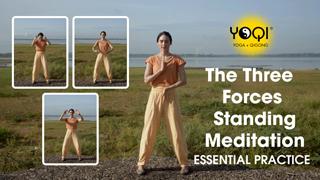 M1.1-2 The Three Forces Standing Meditation